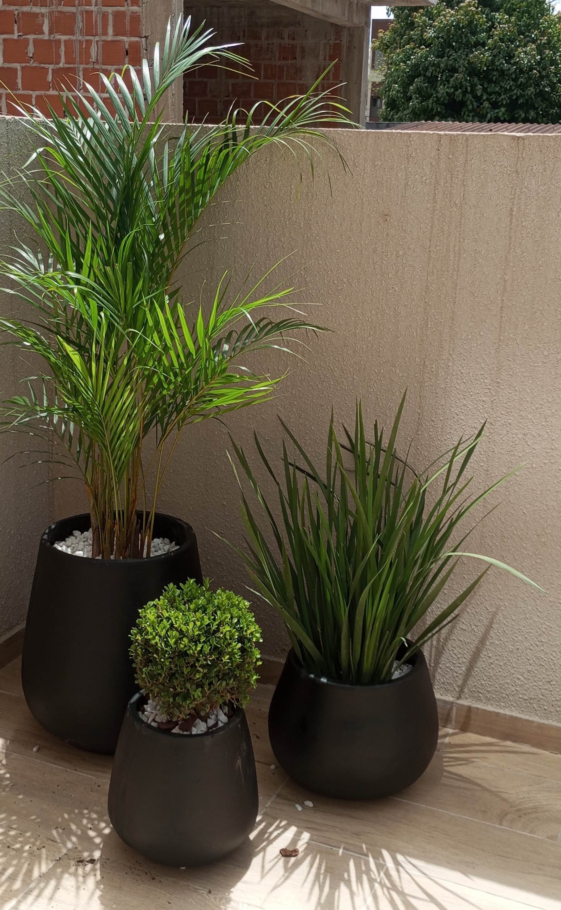 Combo de macetas y plantas